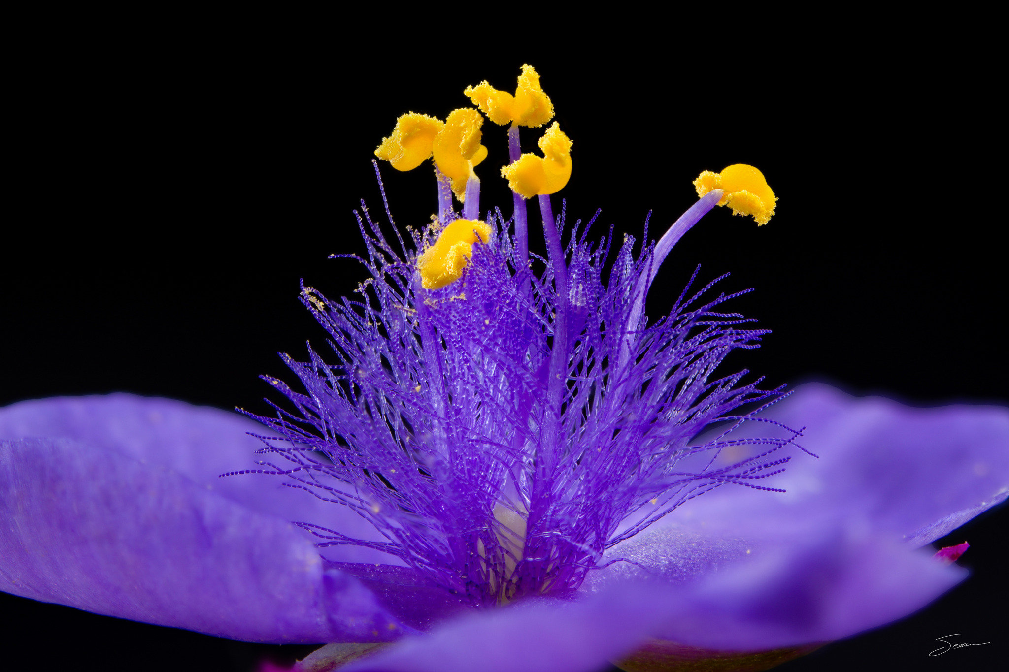 Photo by Sean Setters Photography