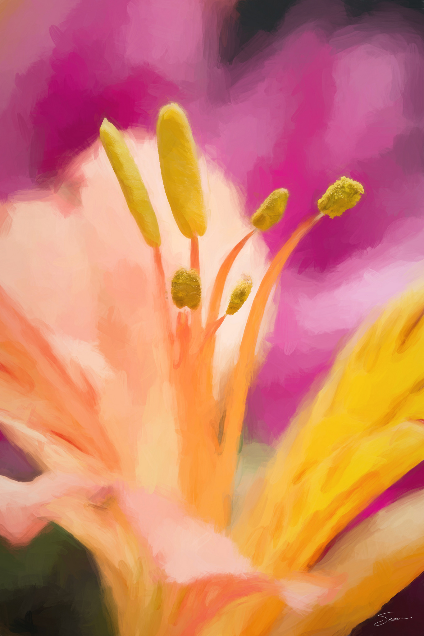 Photo by Sean Setters Photography