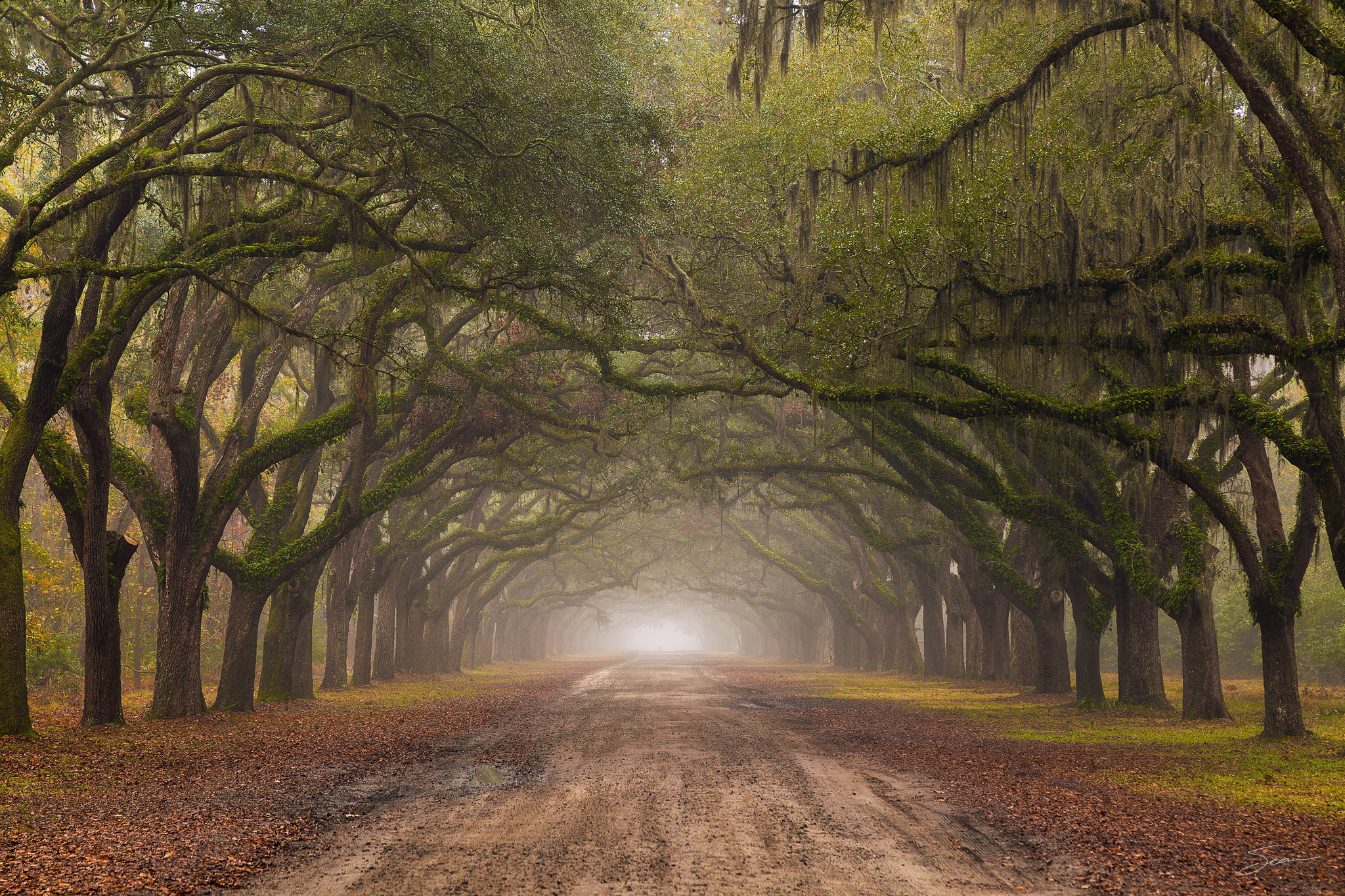 Photo by Sean Setters Photography