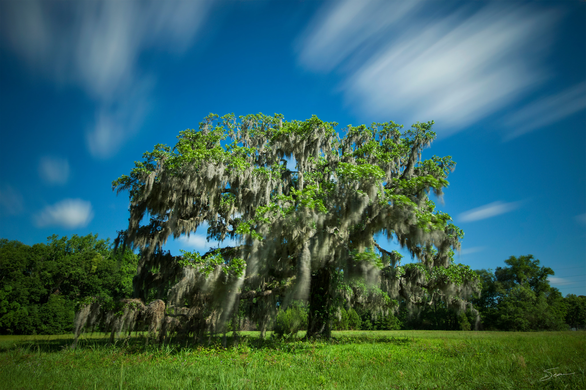 Photo by Sean Setters Photography